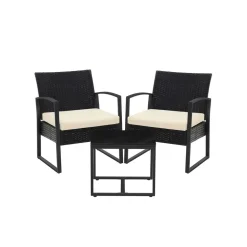 2 Chaises 1 table jardin