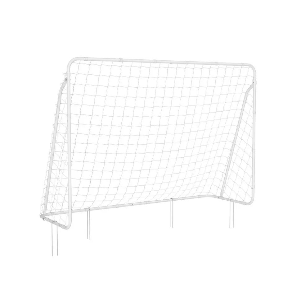 Cage de foot avec but