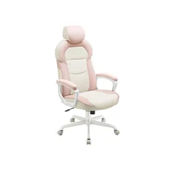 Chaise de Bureau