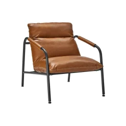EKHO Fauteuil d’Appoint avec Accoudoirs