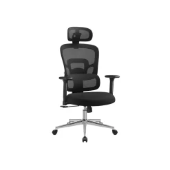 Fauteuil de bureau ergonomique noir d'encre