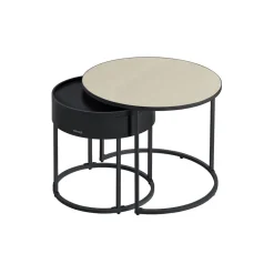 Lot de 2 tables basses marron rustique et noir d'encre